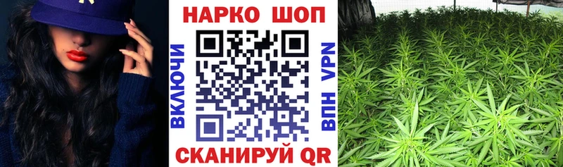 Наркошоп купить Гашиш  Амфетамин  COCAIN  МЕФ  Канабис  Кингисепп