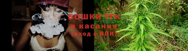 мдпв Бородино
