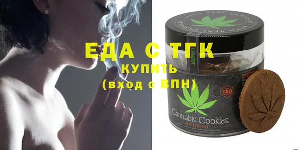 мдпв Бородино