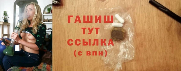мдпв Бородино