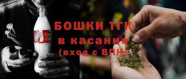 мдпв Бородино