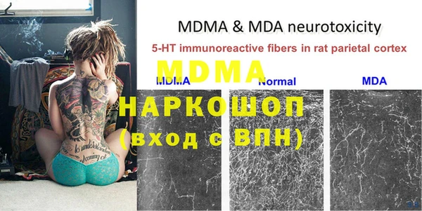 мдпв Бородино