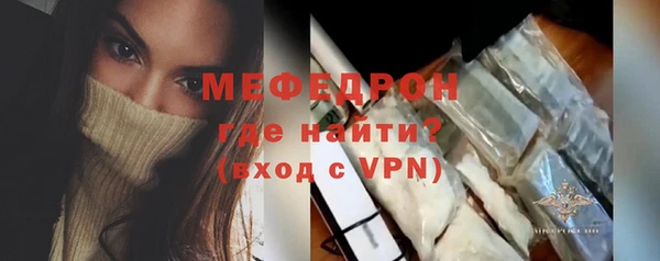 мдпв Бородино