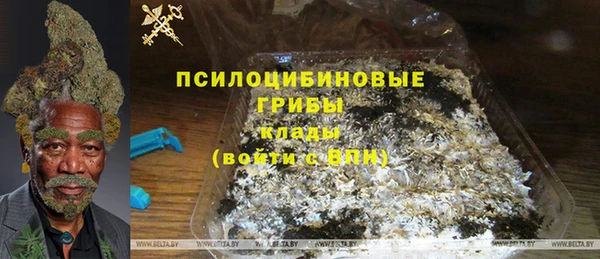мдпв Бородино