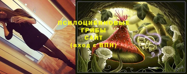 сатива Верхнеуральск